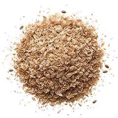 Psyllium
