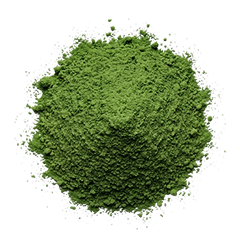 Chlorella